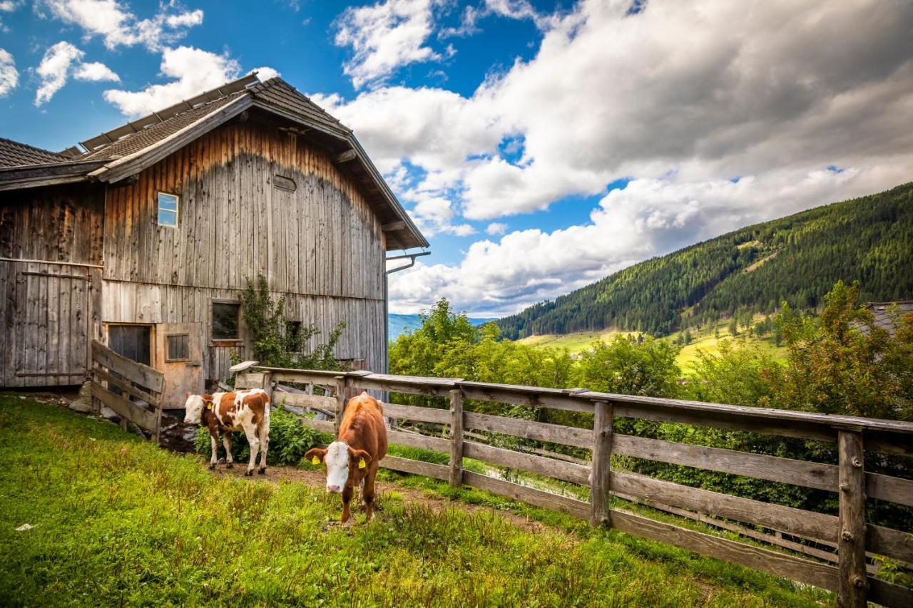 Binderhof Daire Weisspriach Dış mekan fotoğraf